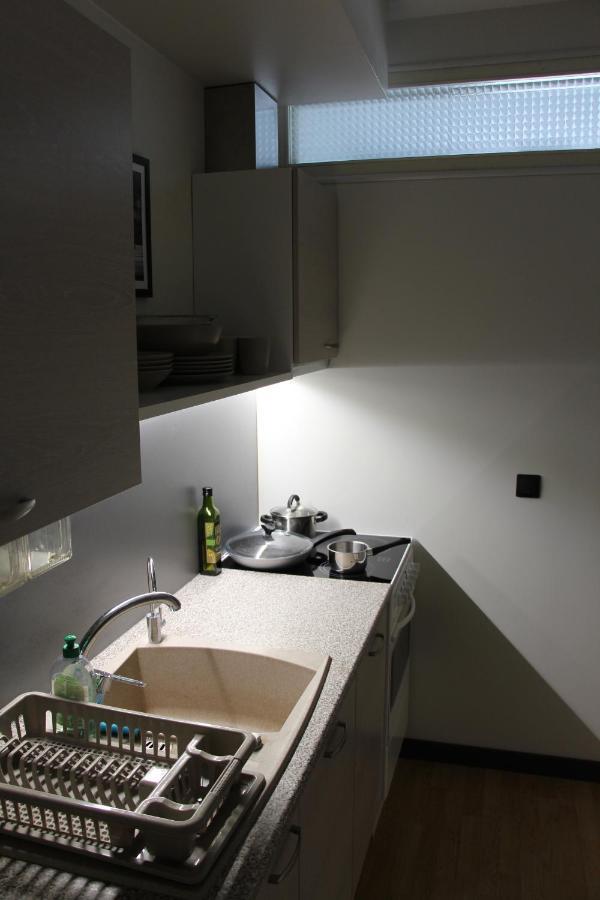 New Modern 4-Room Apartment With Big Balcony And Undeground Parking In Center Of טאלין מראה חיצוני תמונה